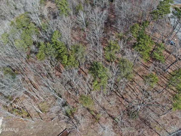 $119,000 | 8 & 9 Eagle Bluff, Jamestown, TN 38556