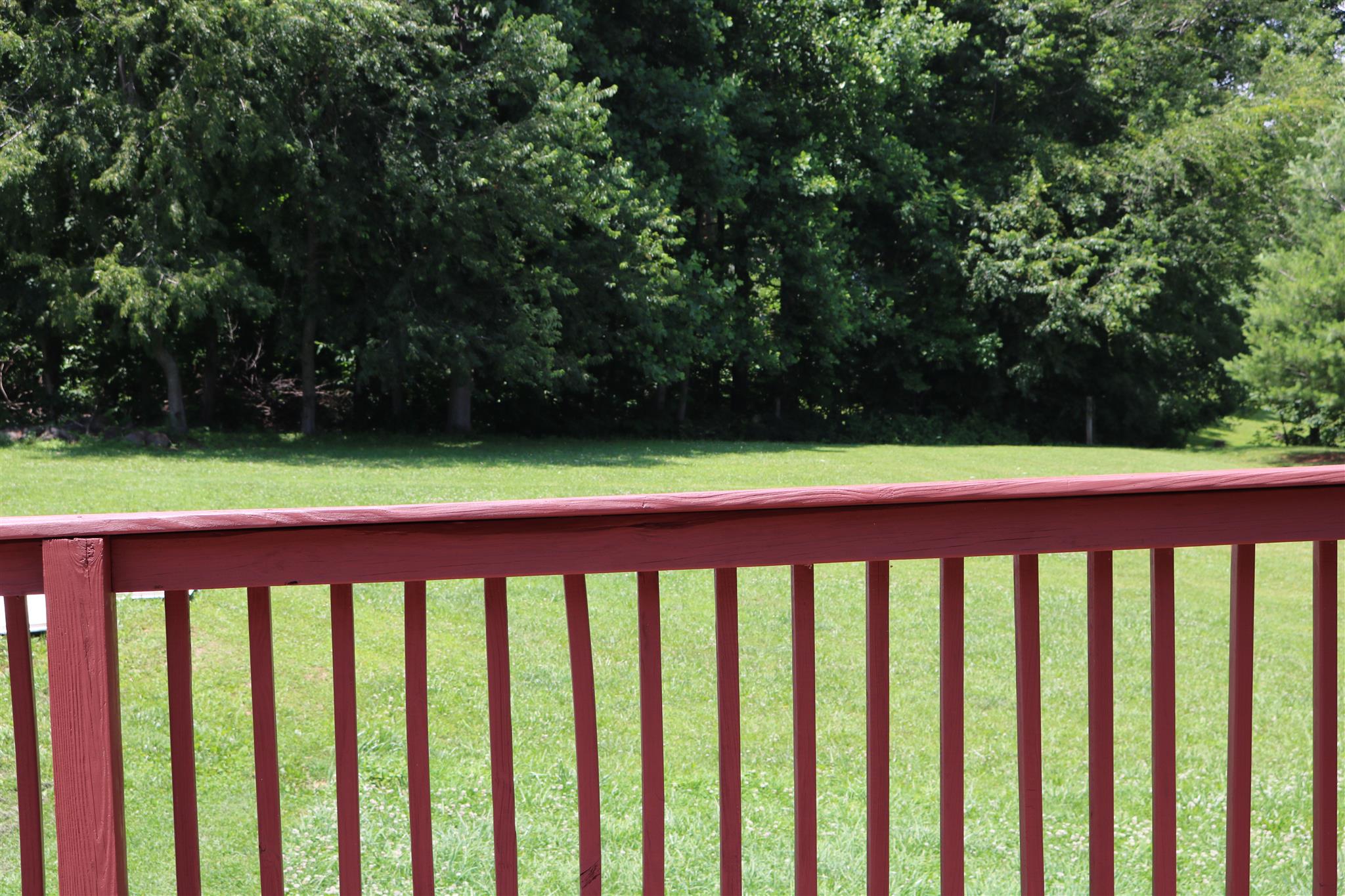 1525 Rapids Road Portland, TN 37148 - Photo 5 of 14 a view of a wooden deck and trees