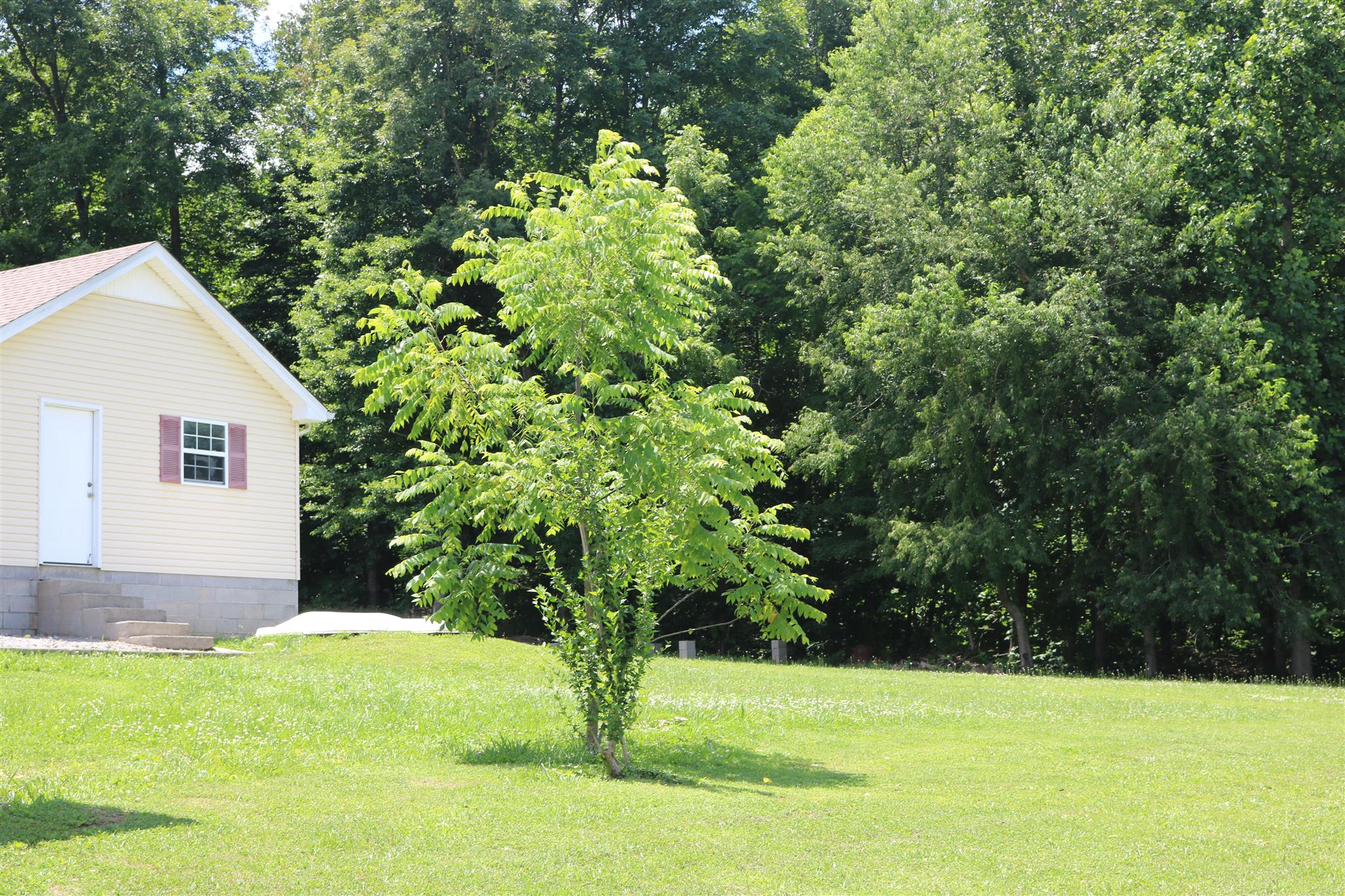 1525 Rapids Road Portland, TN 37148 - Photo 6 of 14 a view of a yard with a house