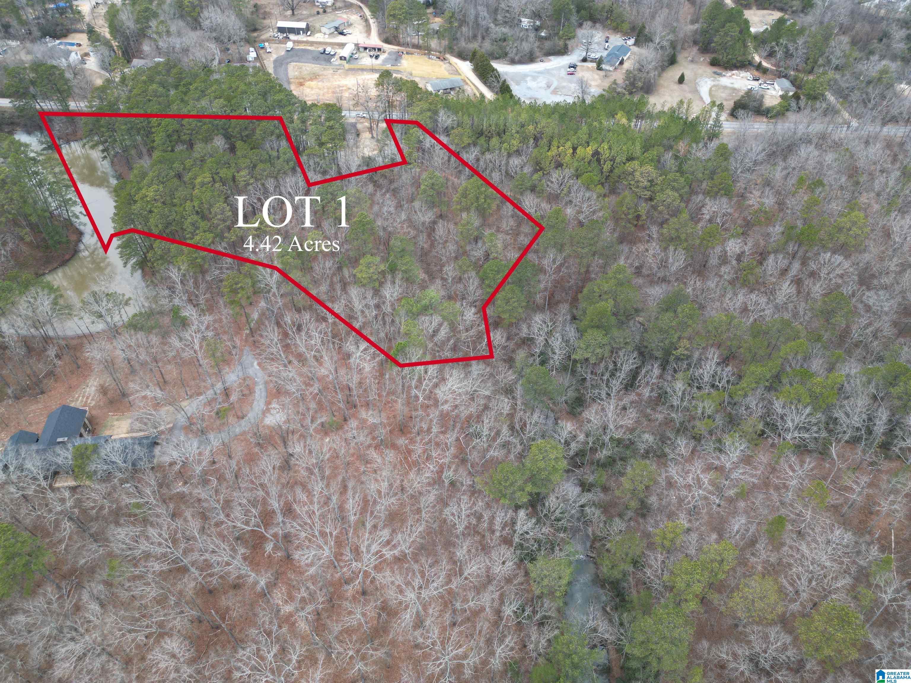 1101-1 Dunnavant Valley Road, Unit 1 Birmingham, AL 35242 - Photo 3 of 6