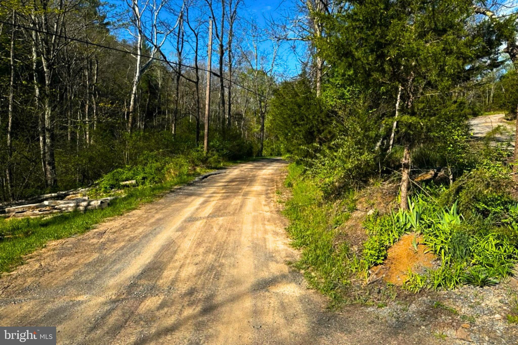 Lot 1 Deep Run Hollow Road Delray, WV 26714 - Photo 10 of 26