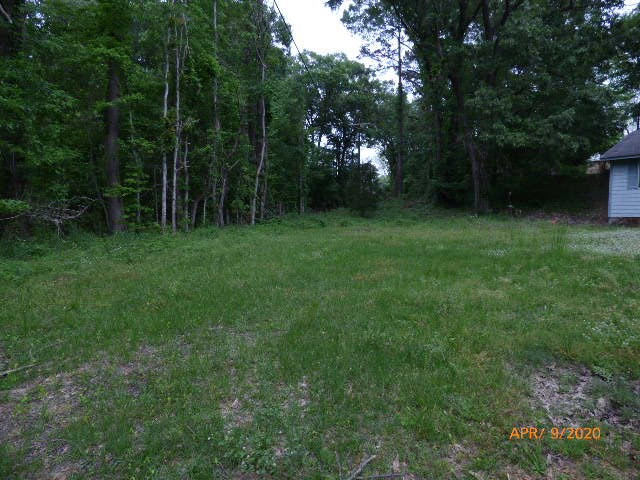 66 Sedgefield Road Natchez, MS 39120 - Photo 6 of 16 Photo 6