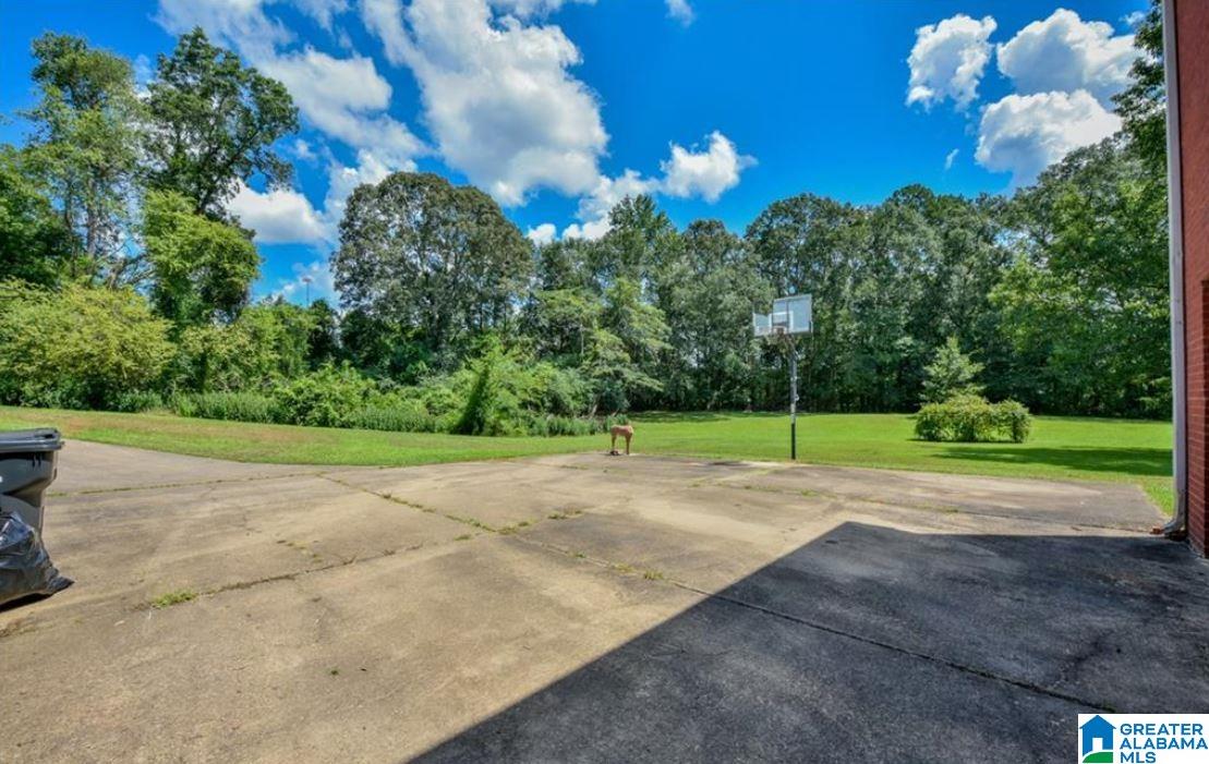 430 Highway 17 Carrollton, AL 35447 - Photo 58 of 67