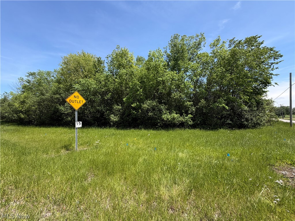West Road Oberlin, OH 44074 - Photo 2 of 2 Expansive lot featuring a vibrant green lawn and mature trees