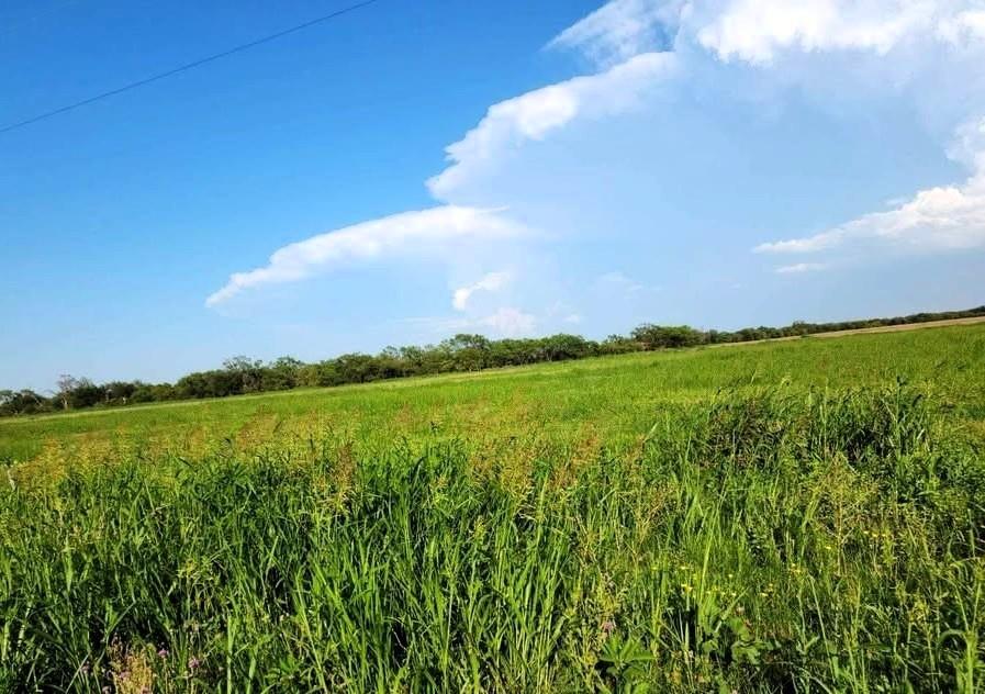 View of local wilderness featuring rural landscape