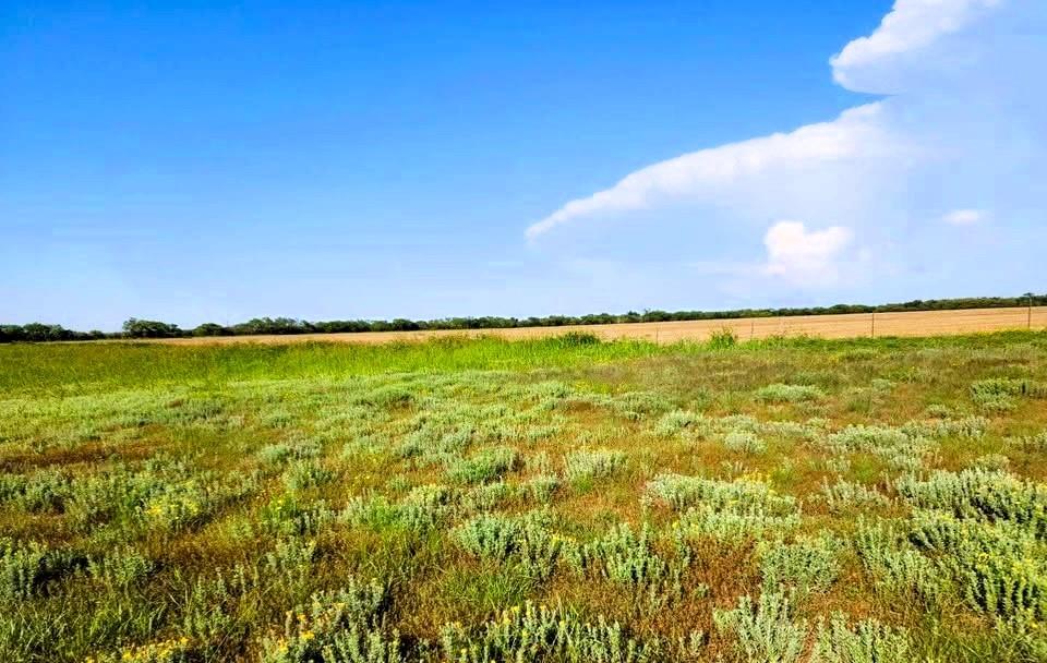 57 Rd Sylvester Tx 79560 Road Sylvester, TX 79560 - Photo 4 of 8 View of local wilderness with rural landscape