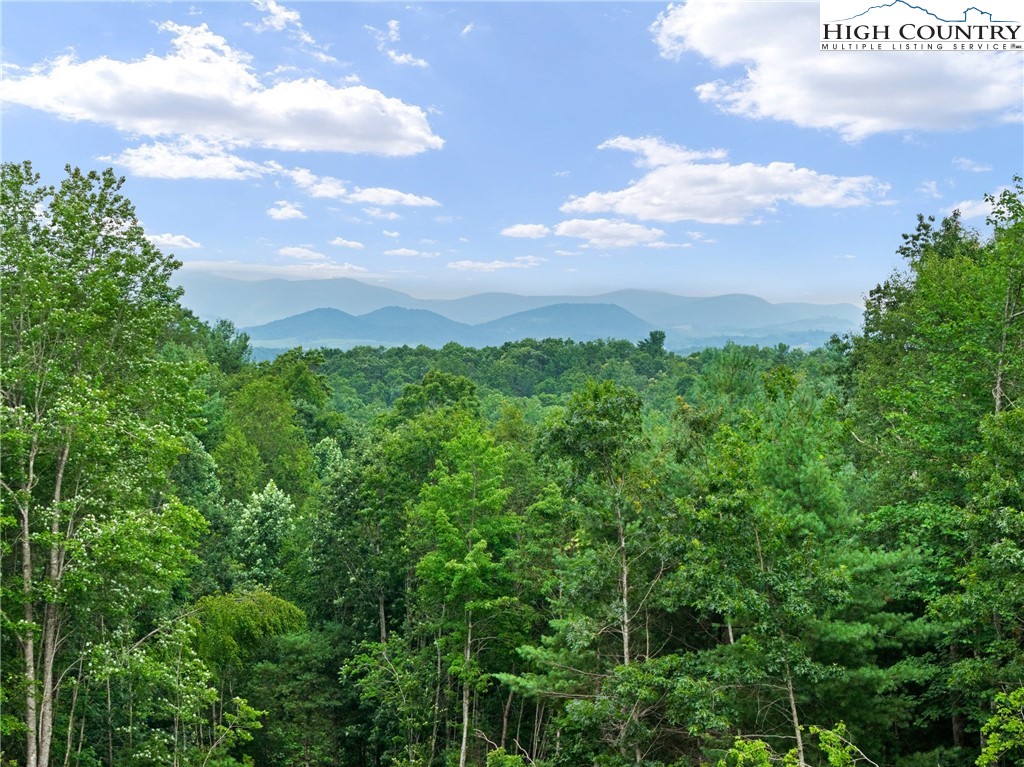 449 Hampton Ridge Road Fleetwood, NC 28626 - Photo 38 of 43 a view of a big yard with lots of green space