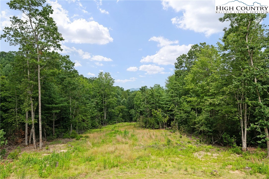 449 Hampton Ridge Road Fleetwood, NC 28626 - Photo 39 of 43 a view of backyard with swimming pool
