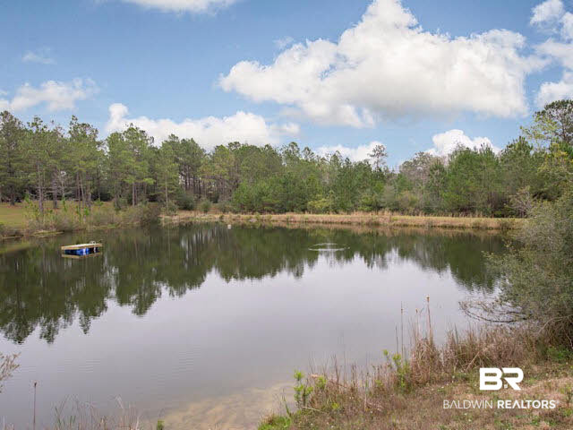 9380 Greenleaf Drive Daphne, AL 36527 - Photo 4 of 24 Shared access to this lake for lots of Summer Fun!