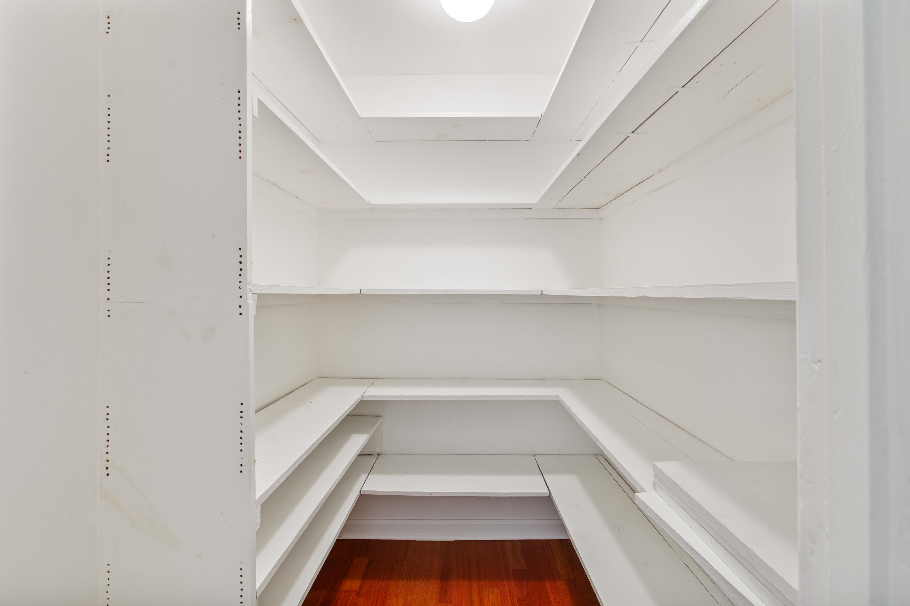 113 Center Street Moncks Corner, SC 29461 - Photo 15 of 31 kitchen pantry