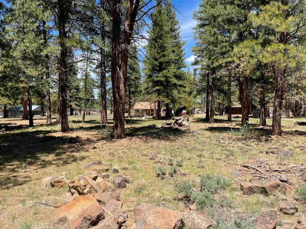 $18,500 | 0 Lake View Drive, Susanville, CA 96130
