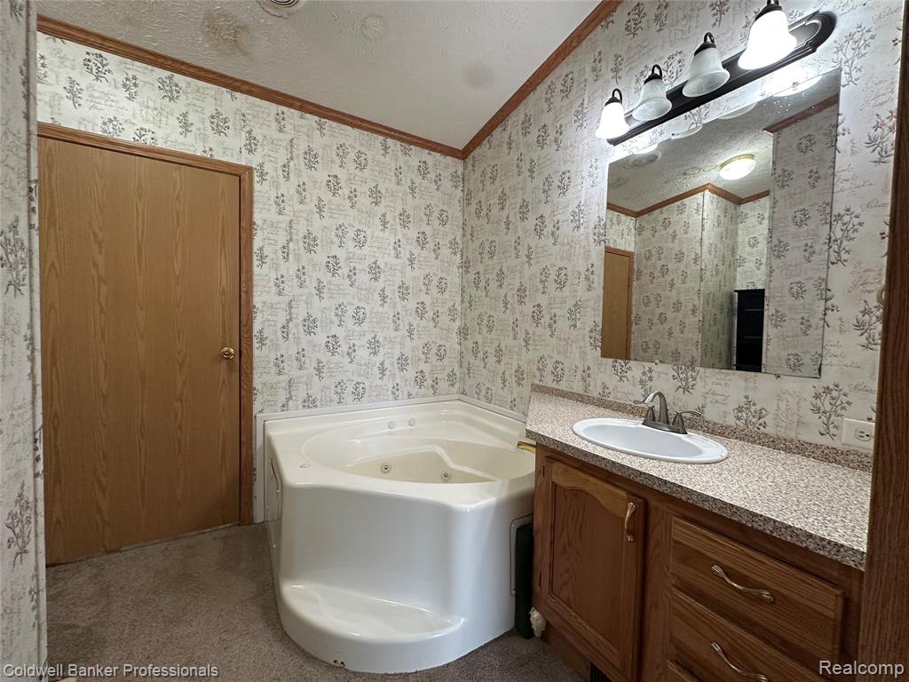 1725 East Burnside Road North Branch, MI 48461 - Photo 4 of 18