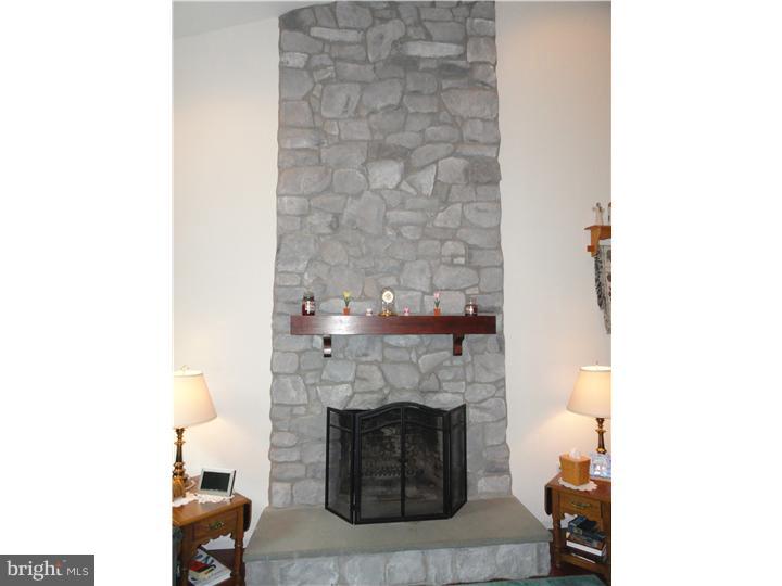 64 Overlook Road Morgantown, PA 19543 - Photo 5 of 25 Fireplace