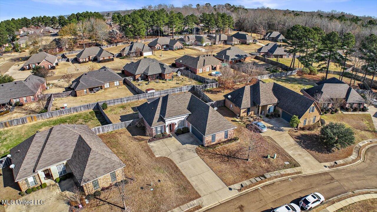 119 Cole's Way Madison, MS 39110 - Photo 41 of 53 37-119 Coles Way