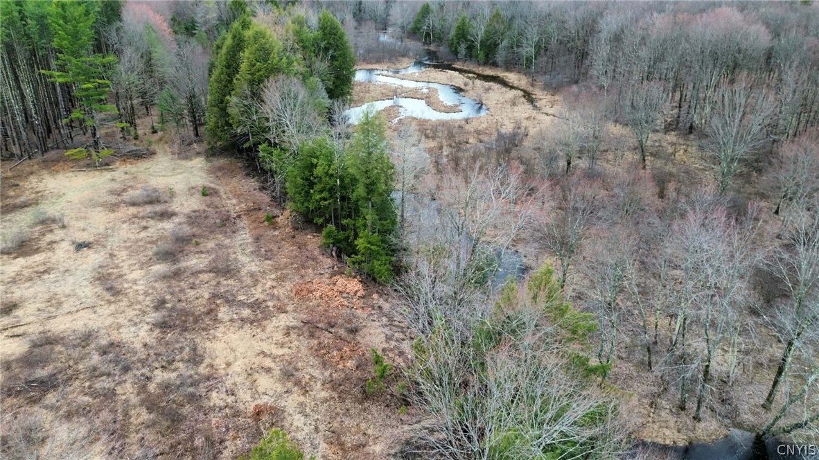 333 Albion Cross Road Pulaski, NY 13142 - Photo 23 of 28