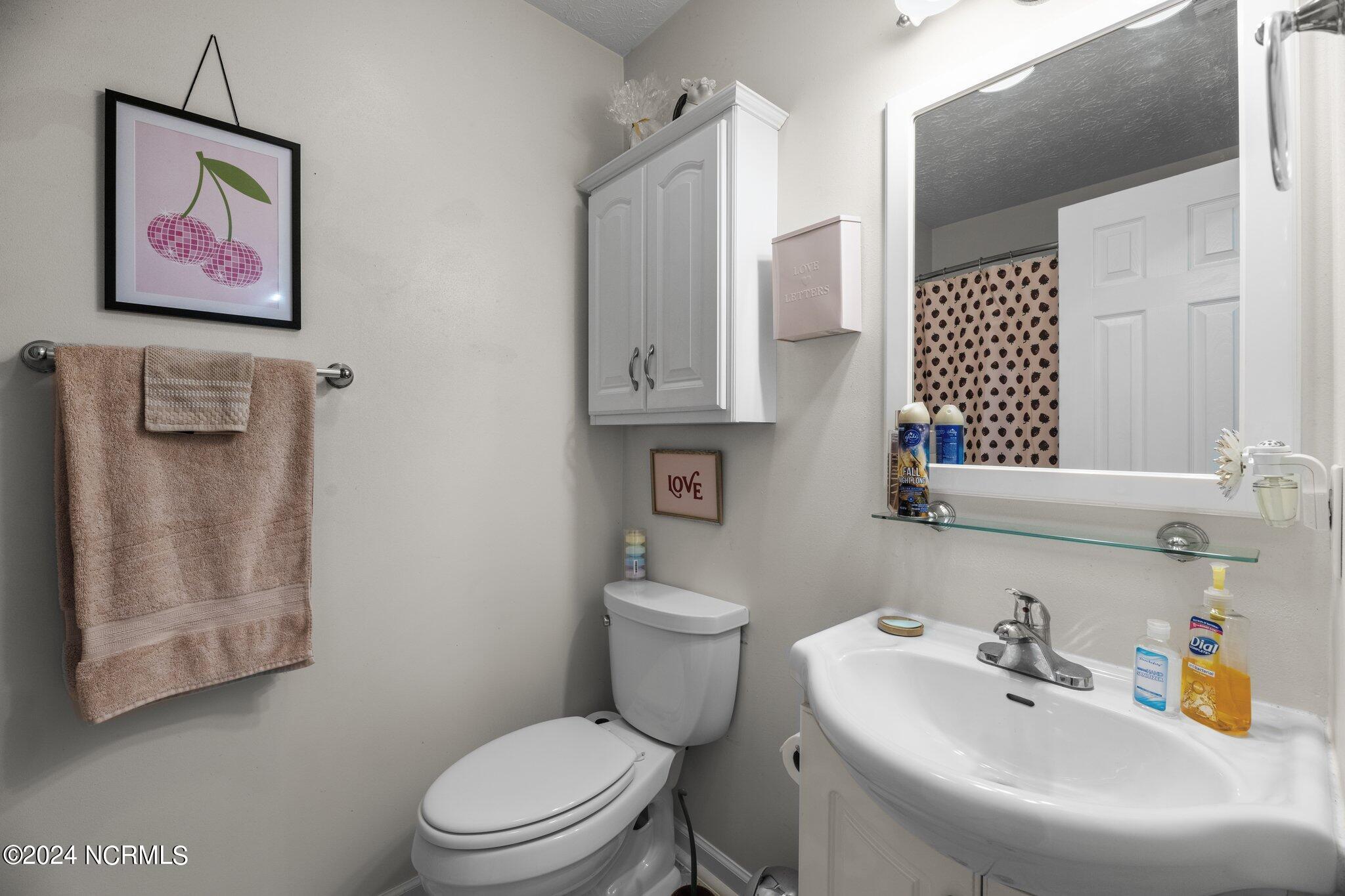 513 West Grantham Road New Bern, NC 28562 - Photo 17 of 24 Hall bath.