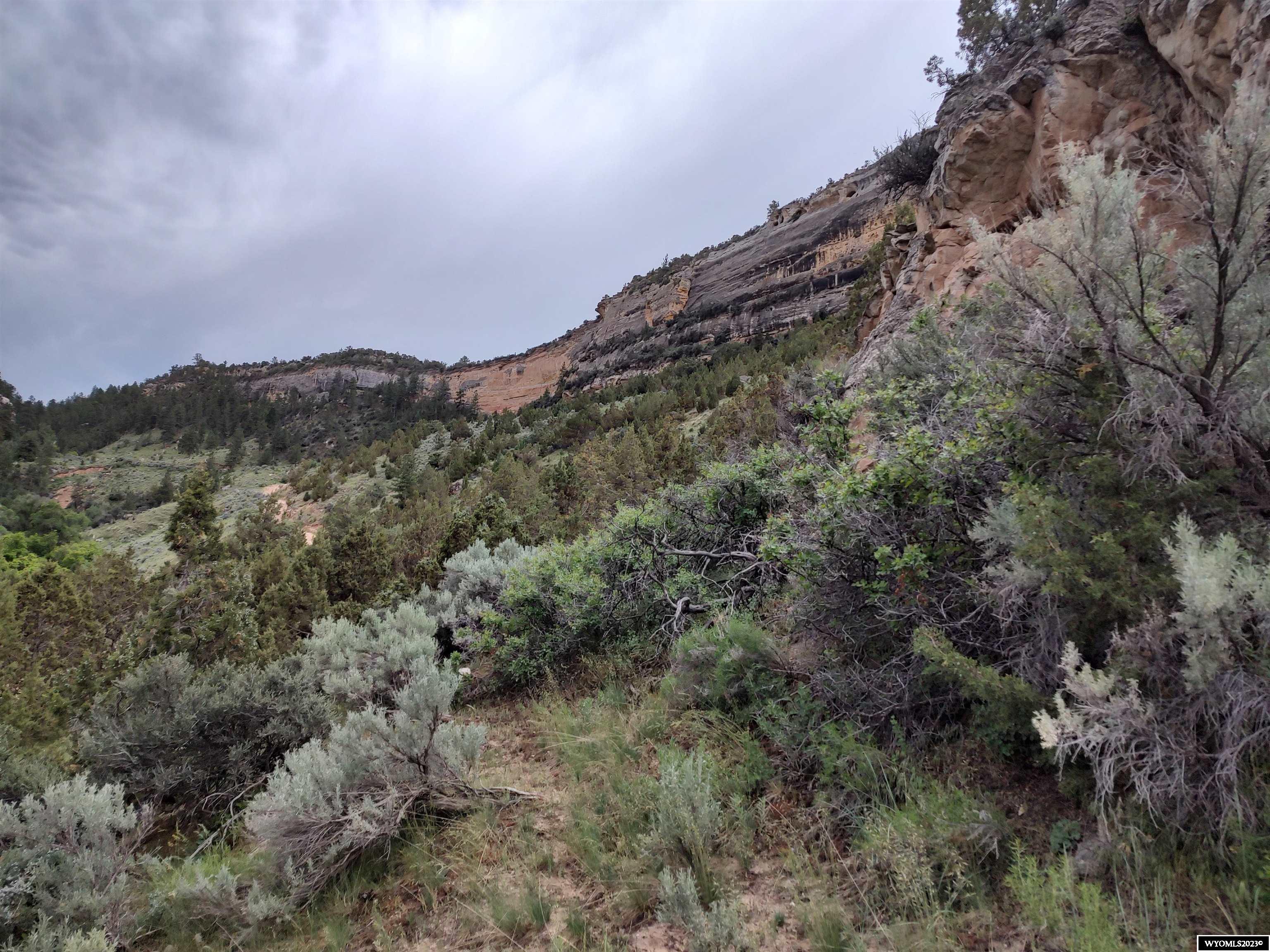 100 Smilo Draw Ten Sleep, WY 82442 - Photo 15 of 28