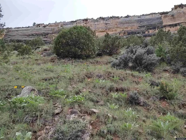 $169,000 | 100 Smilo Draw, Ten Sleep, WY 82442