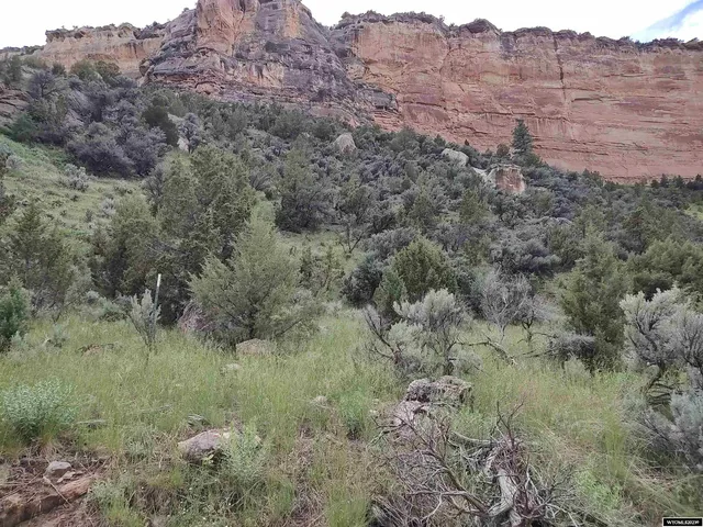 $169,000 | 100 Smilo Draw, Ten Sleep, WY 82442