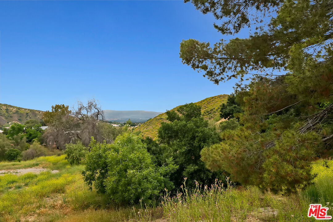 23550 Valley View Road Calabasas, CA 91302 - Photo 17 of 26 a view of a bunch of trees and bushes