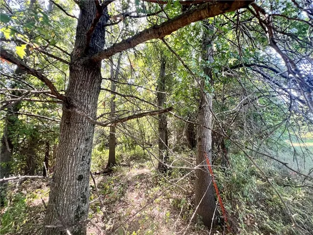 $240,000 | Southeast 75th Avenue, Laredo, MO 64652