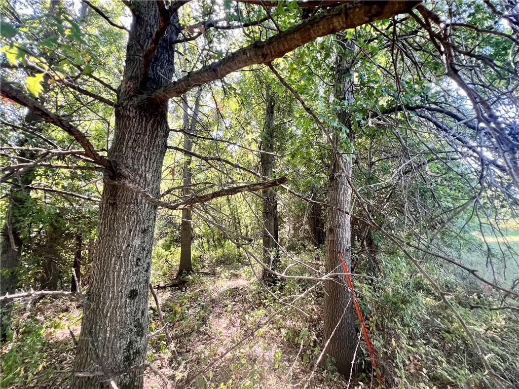 Southeast 75th Avenue Laredo, MO 64652 - Photo 13 of 23