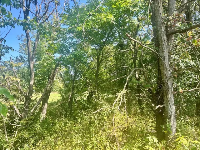 $240,000 | Southeast 75th Avenue, Laredo, MO 64652