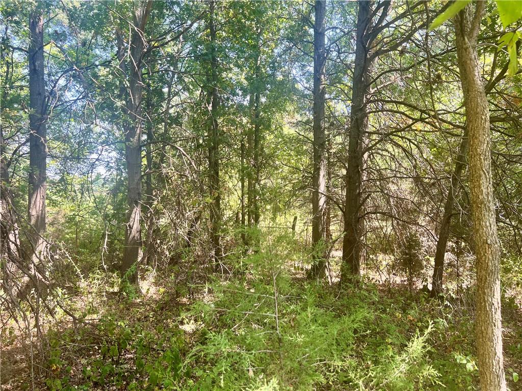 Southeast 75th Avenue Laredo, MO 64652 - Photo 17 of 23