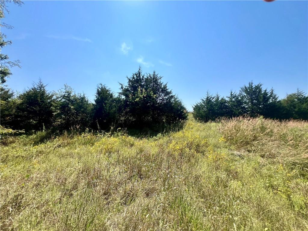 Southeast 75th Avenue Laredo, MO 64652 - Photo 20 of 23