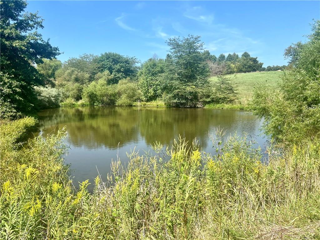 Southeast 75th Avenue Laredo, MO 64652 - Photo 21 of 23