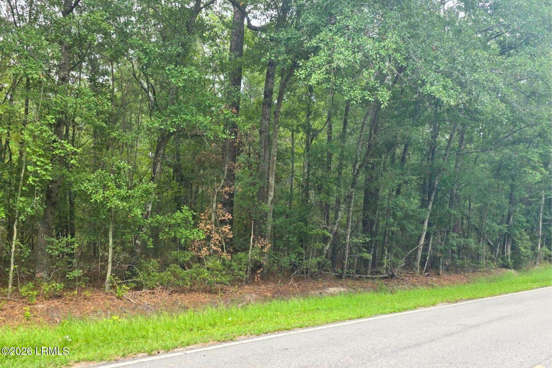 0 Wade Hampton Road Hampton, SC 29924 - Photo 15 of 16 15