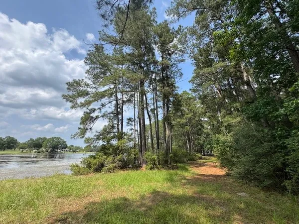 a view of lake with green space