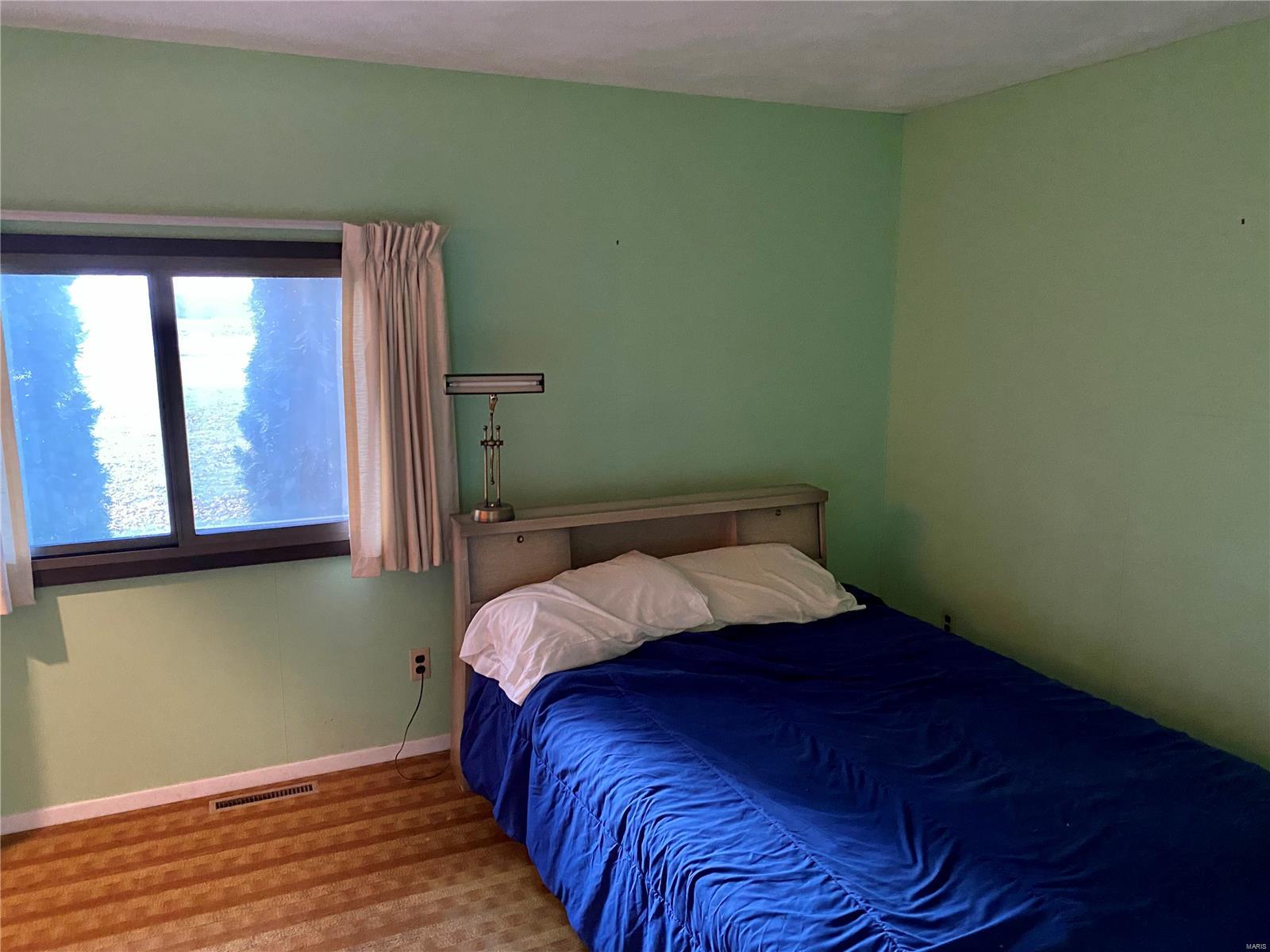 110 County Line Road Virden, IL 62690 - Photo 8 of 18