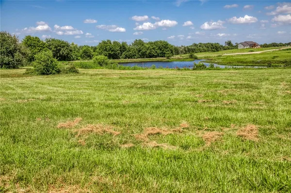 a view of a big yard with lots of green space