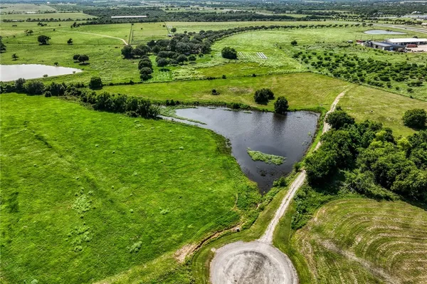 a view of swimming pool with a garden and plants