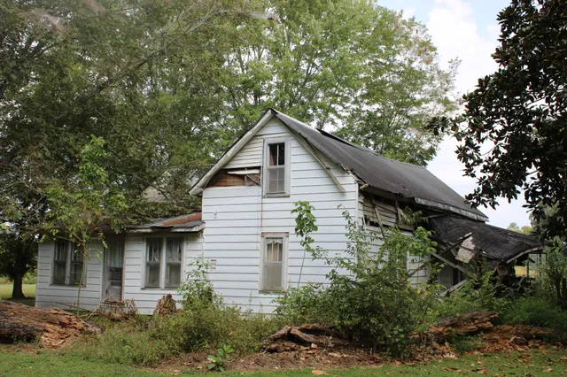 a backyard of a house with plants and large tree