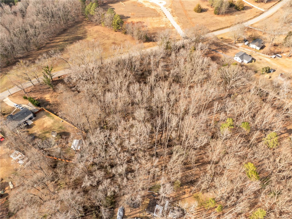 562 Cooper Bridge Road Fountain Inn, SC 29644 - Photo 4 of 12