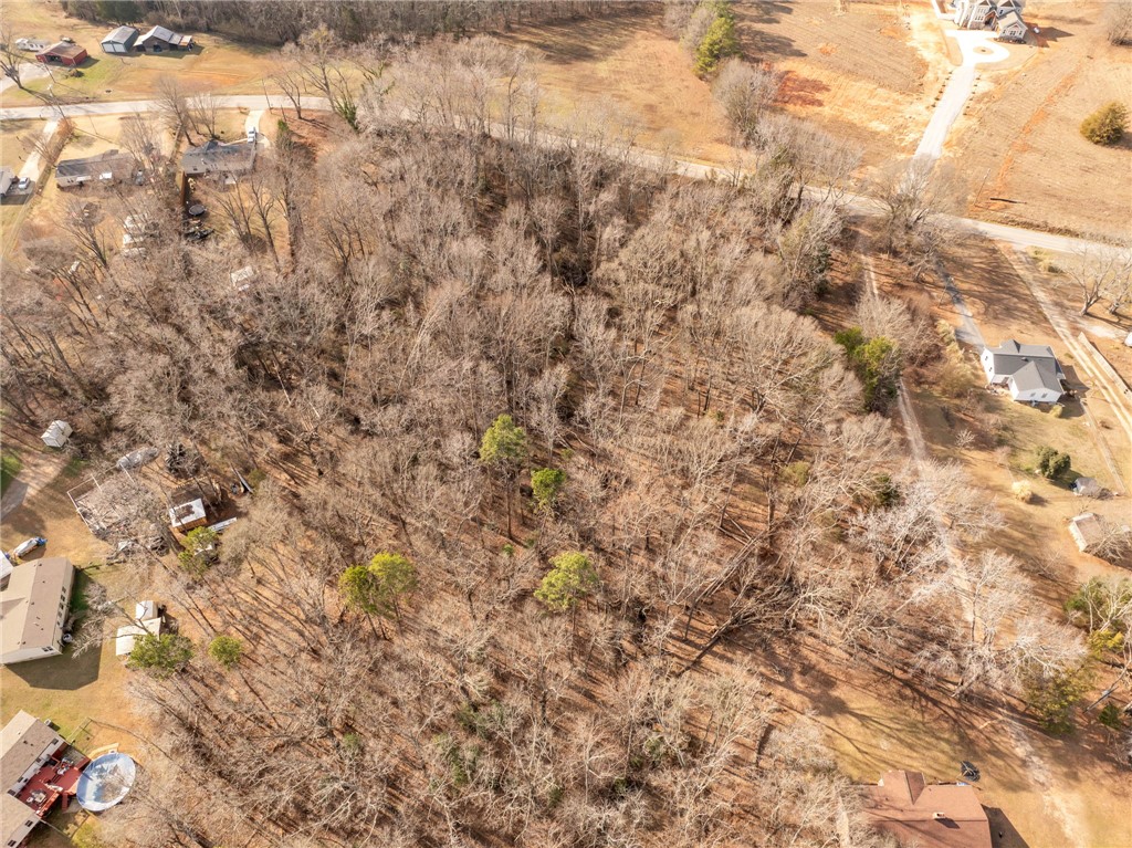 562 Cooper Bridge Road Fountain Inn, SC 29644 - Photo 5 of 12