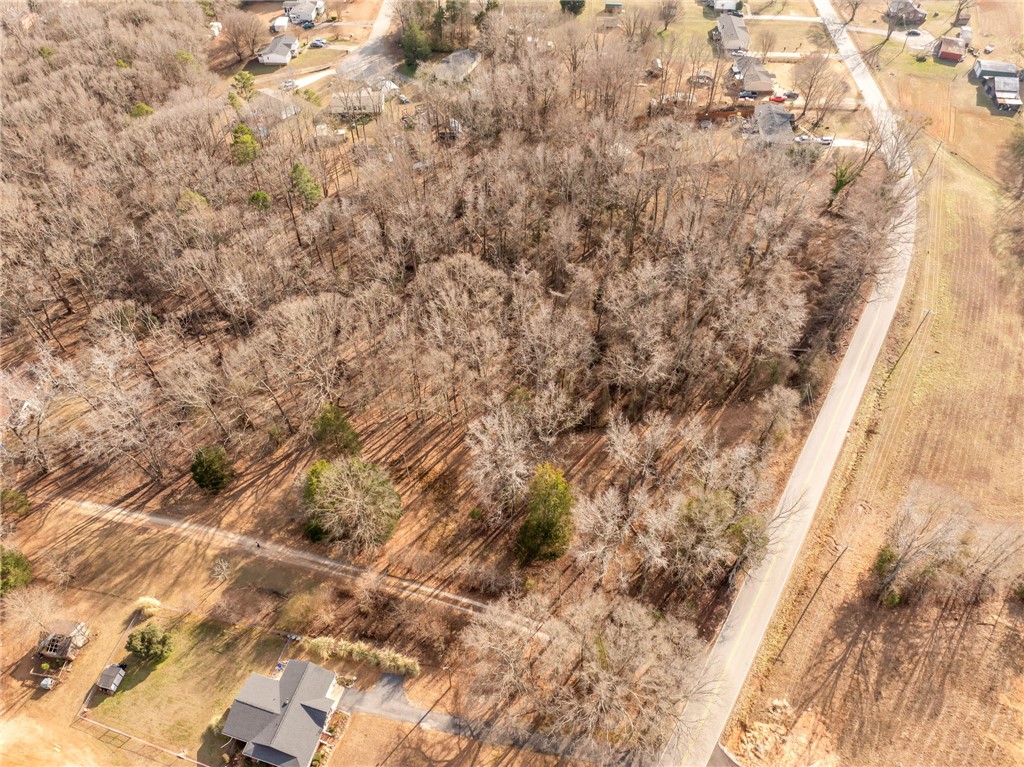 562 Cooper Bridge Road Fountain Inn, SC 29644 - Photo 7 of 12