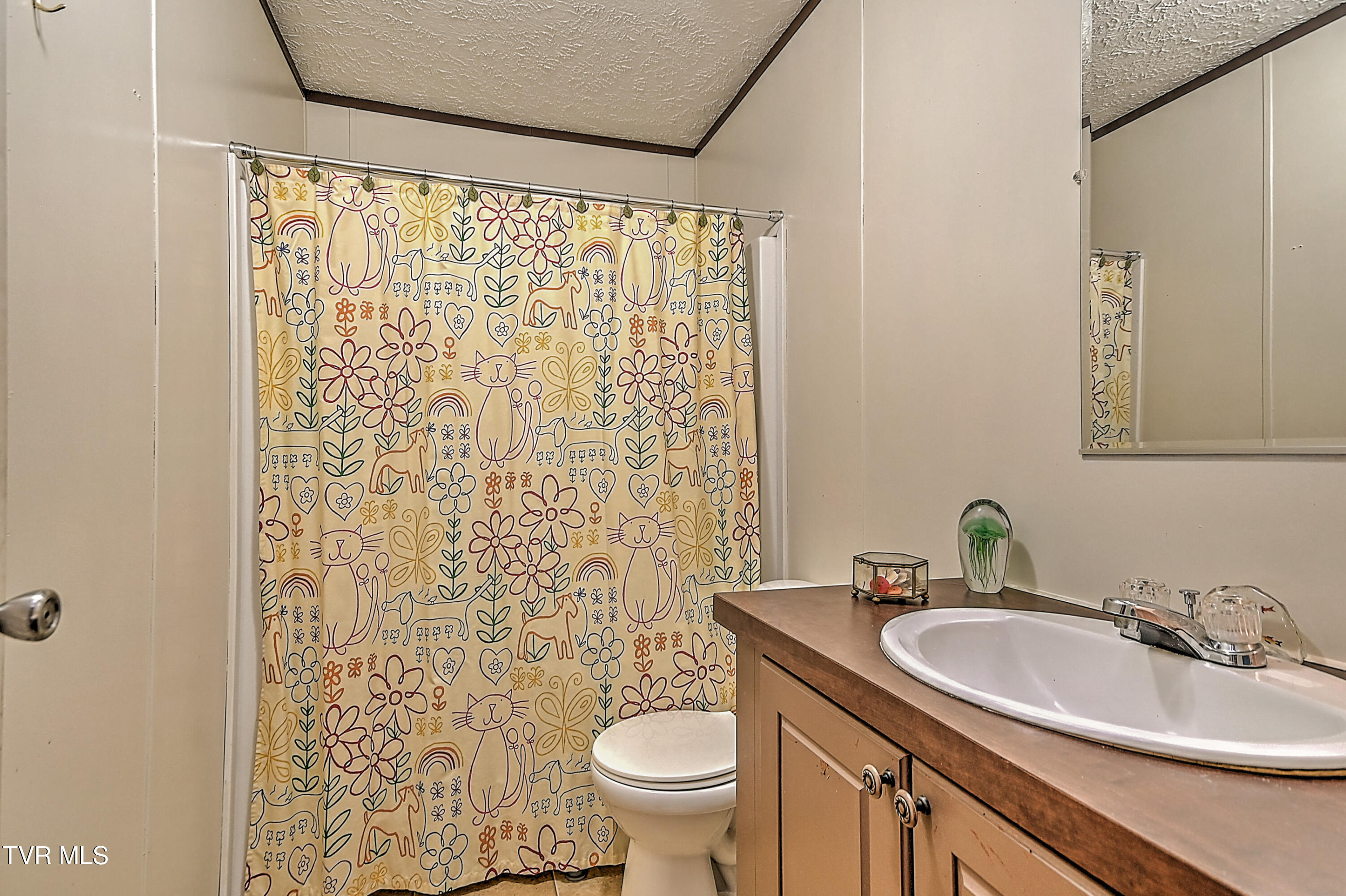 235 Shipley Ferry Road Blountville, TN 37617 - Photo 6 of 27 241 Shipley Ferry Rd TN-16
