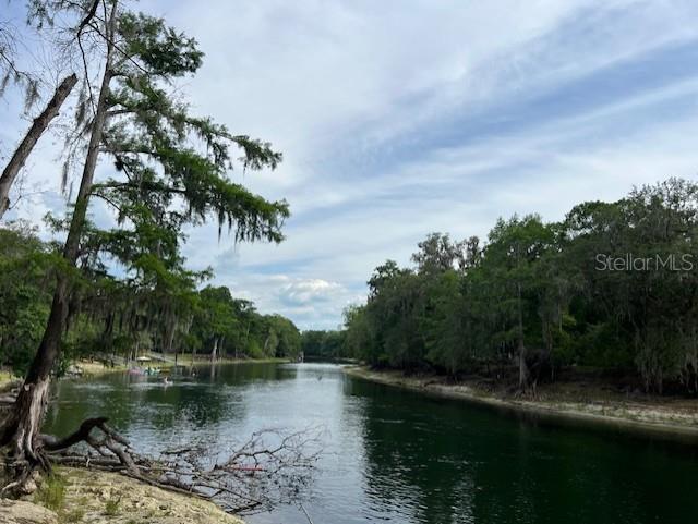 Southwest Bumble Street Fort White, FL 32038 - Photo 15 of 15 a view of lake with green space