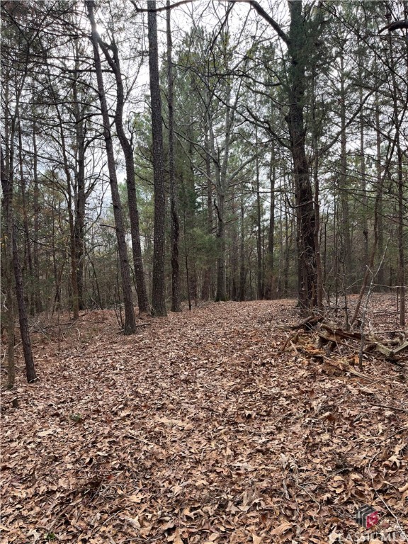0 Nowhere Road Athens, GA 30601 - Photo 25 of 30