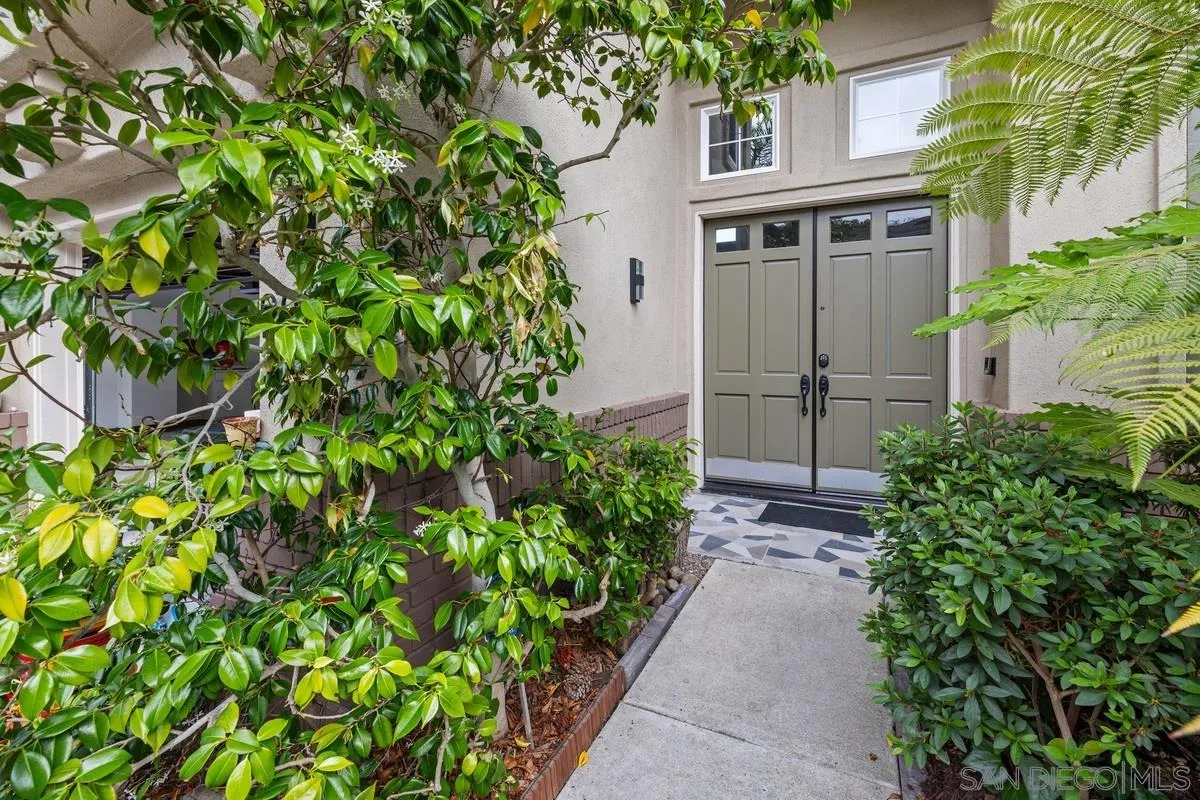 6013 Oakgate Row La Jolla, CA 92037 - Photo 11 of 50 a backyard of a house with lots of green space