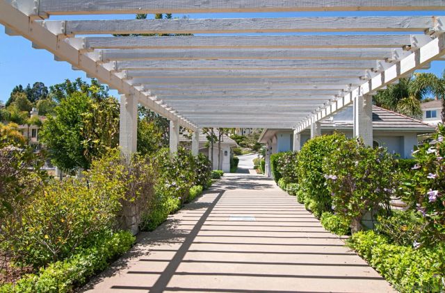 a view of a backyard with flowers