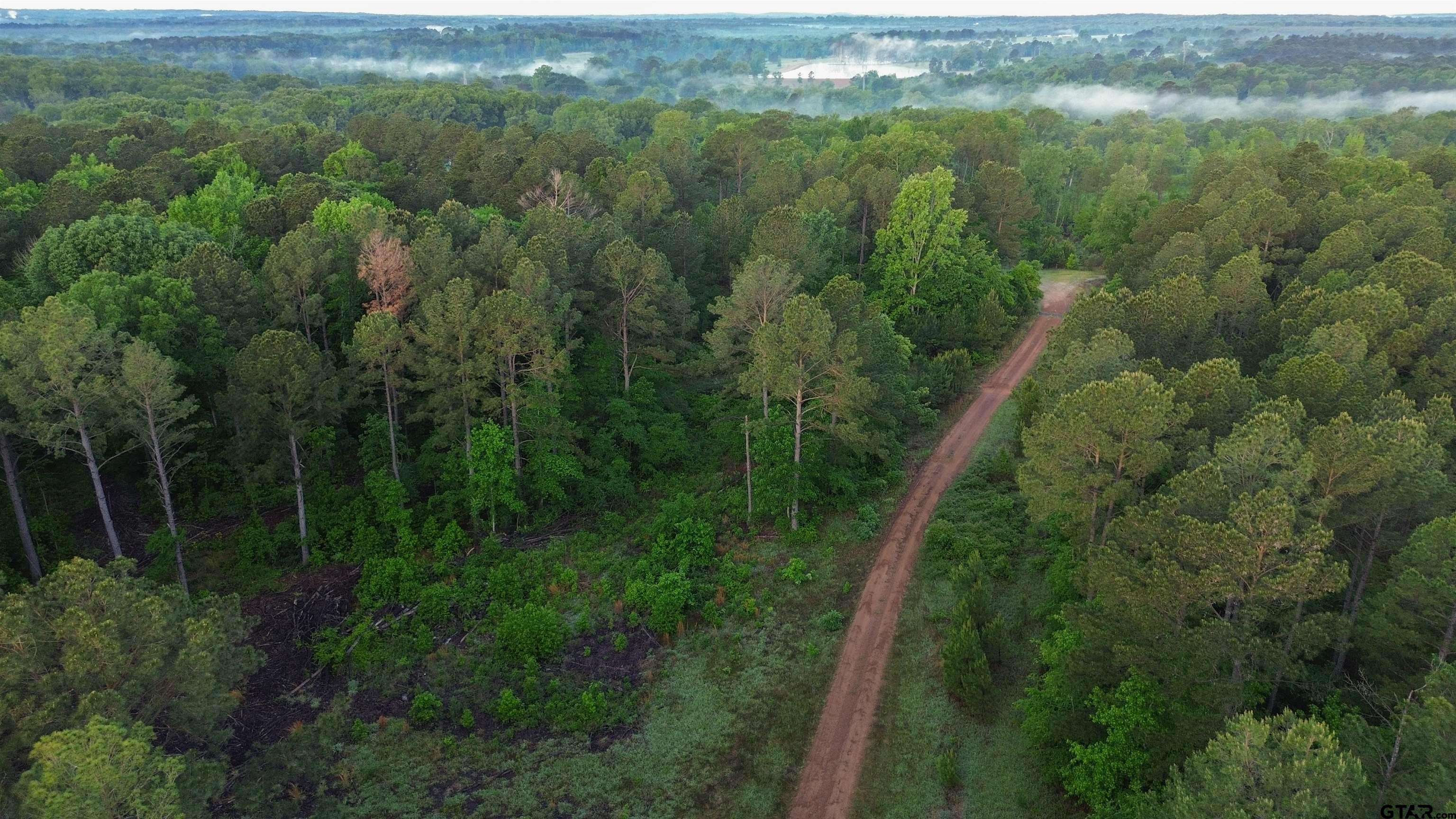 a view of a city with lush green forest