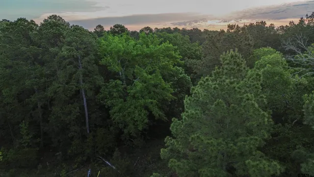 a view of a lake and green valley