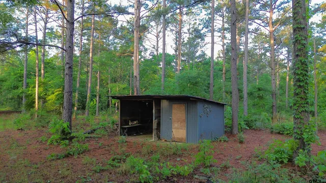 a view of a backyard with large trees and plants