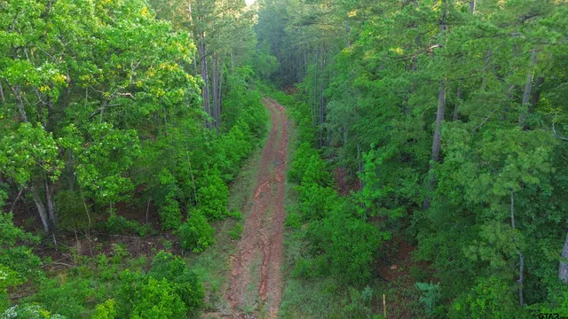 a view of a green yard