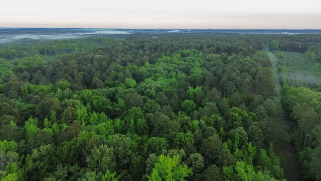 a view of a field of grass and trees