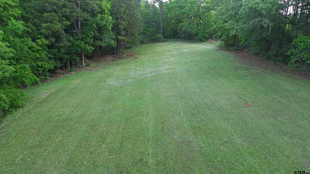 a view of a big yard with large trees